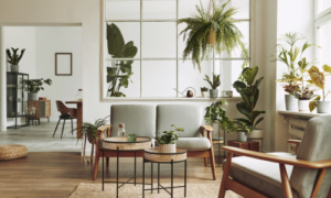 A bright, modern living room with natural light, neutral décor, wooden furniture and houseplants — showcasing a clean, well-presented rental property.