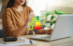 Landlord reviewing home energy efficiency and EPC ratings on a laptop